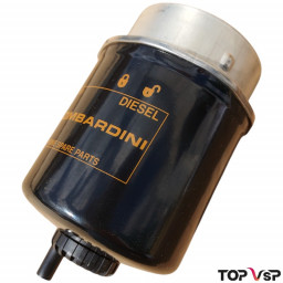 Boutique pièces vsp Lombardini 480 hdi filtre à gasoil - F0099000379
