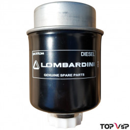 Filtre à gasoil moteur Lombardini 492 DCI Casalini 550 - ED0021753440-S / F0099000433