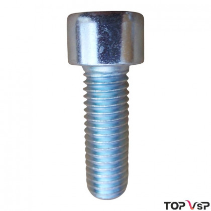 Vis chc M10-30/30 zb 8.8 zb 8 LIGIER MICROCAR - 0002117