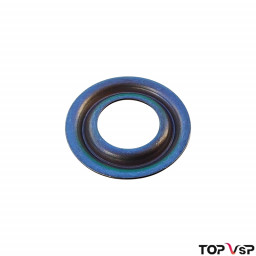 Magasin pièces détachées vsp pare-flamme d'injecteur Lombardini Focs Progress - ED0059890070-S