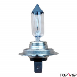 Ampoules h7 55w pour voitures sans permis Bellier jdm Grecav et Piaggio