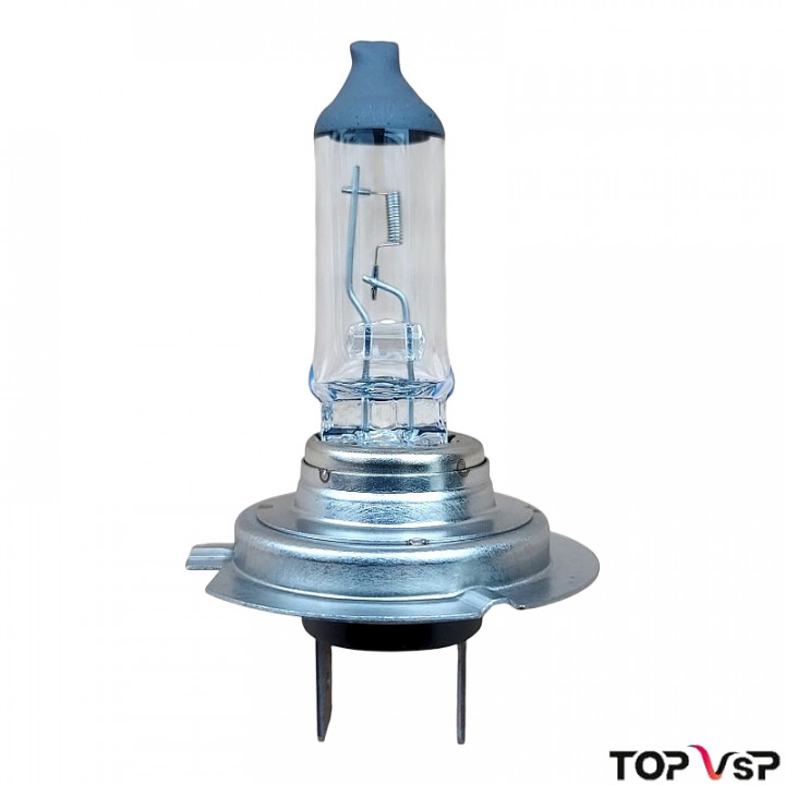 Ampoule H7 12V 55W