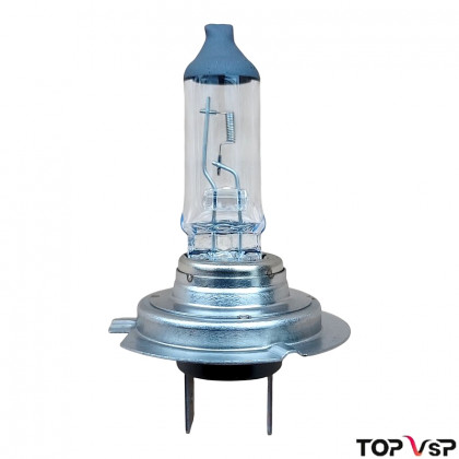 Ampoule H7 12V 55W