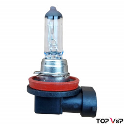 Ampoule antibrouillard H8 12V 35W