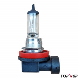 Ampoule halogène H11 12V 55W